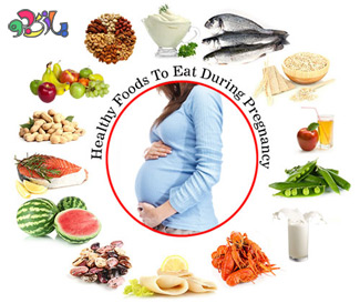 تغذیه و  بارداری   سری اول